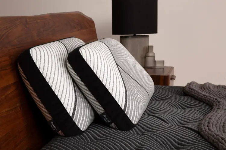 Beautyrest Black Luxury Foam Pillow