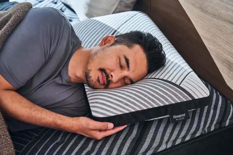 Beautyrest Black Luxury Foam Pillow