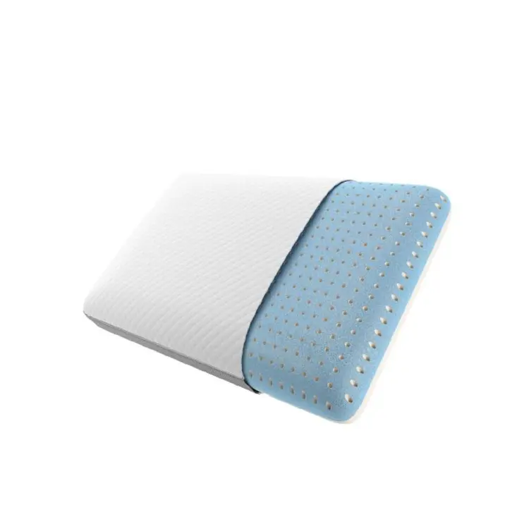 Beautyrest Absolute Relaxation Pillow