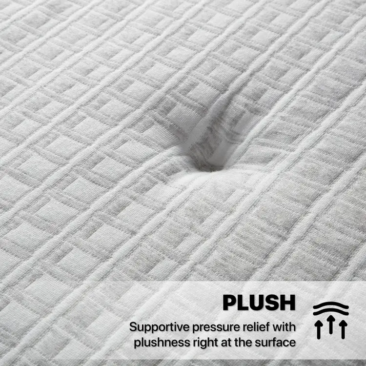 Beautyrest Silver BRS900-C Plush